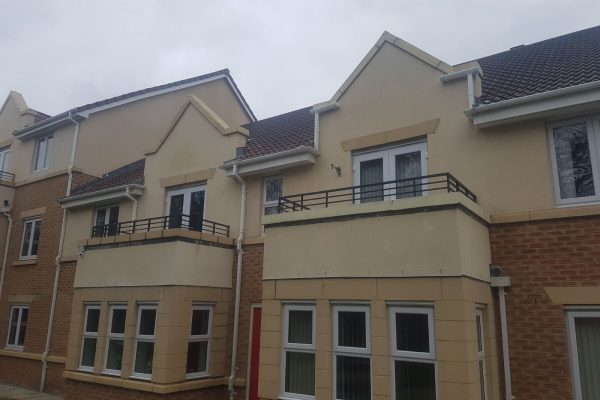 WhatsApp Image 2017-12-19 at 4.08.30 AM