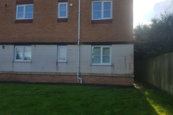 WhatsApp Image 2017-12-19 at 4.08.31 AM (1)