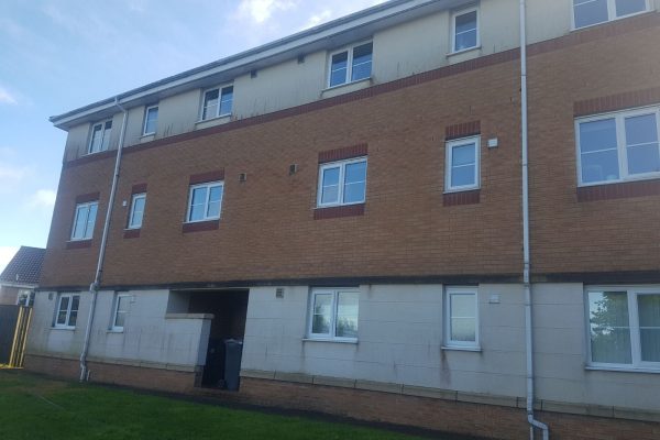 WhatsApp Image 2017-12-19 at 4.08.32 AM (1)