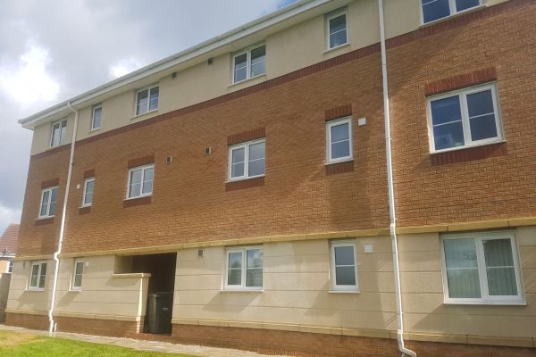 WhatsApp Image 2017-12-19 at 4.08.32 AM