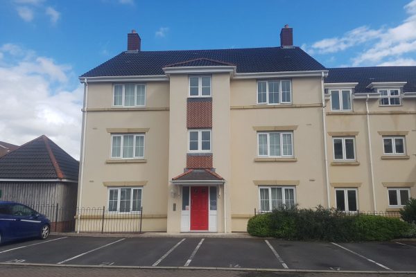 WhatsApp Image 2017-12-19 at 4.08.35 AM (1)